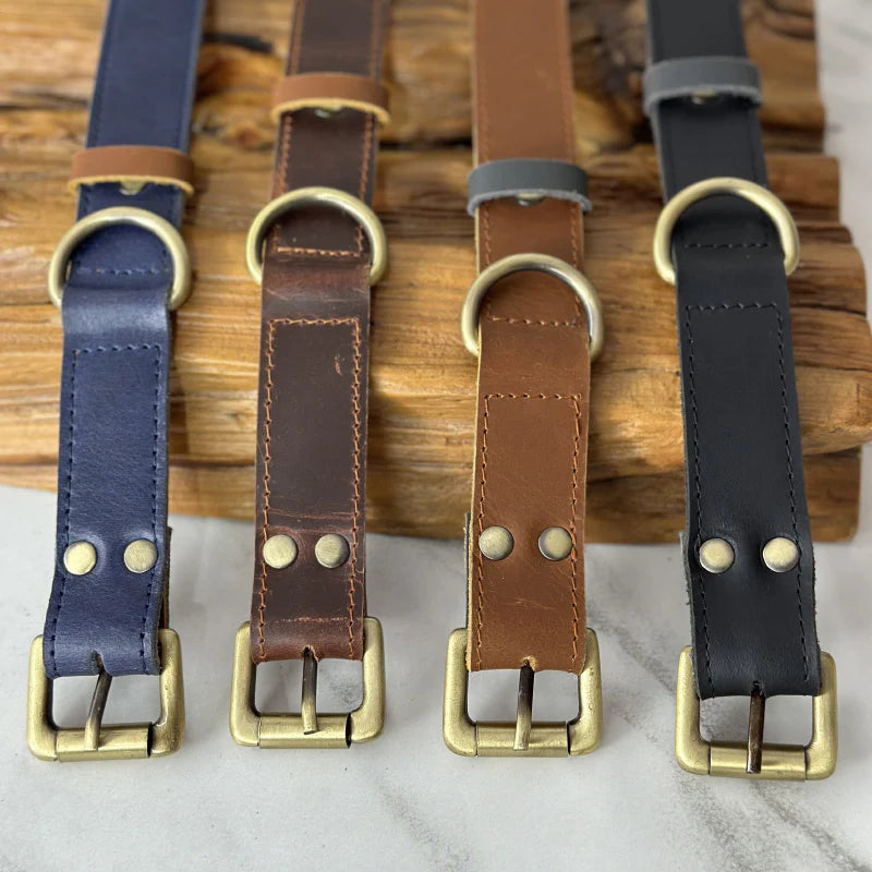 Four leather dog collars in blue, brown, and black with brass buckles on a wooden and marble surface.