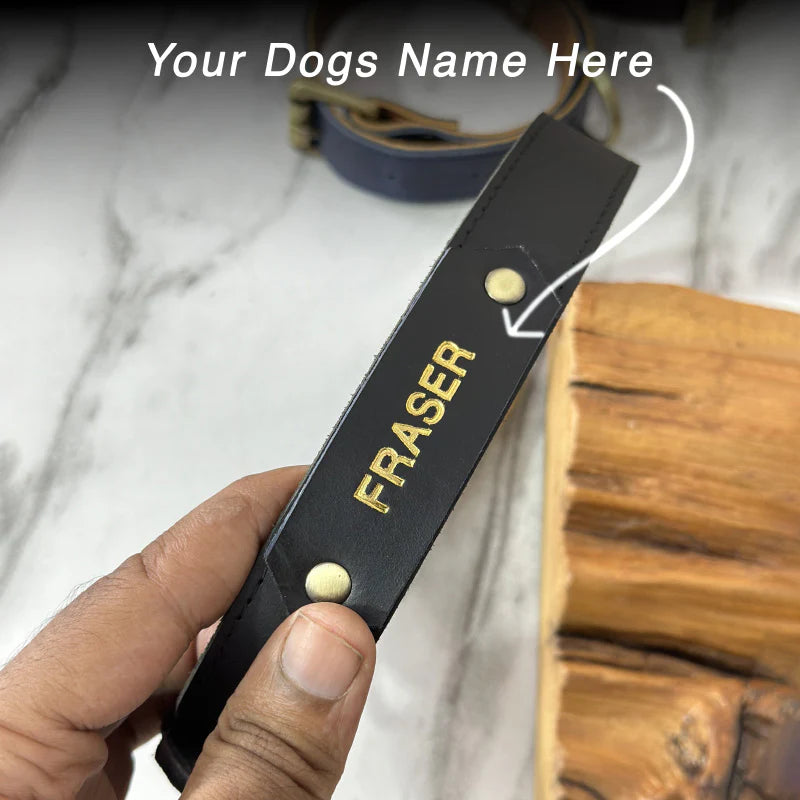 Personalized dog collar with &