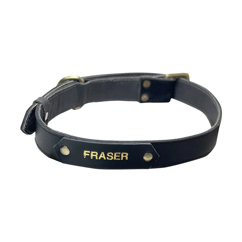 Black leather dog collar with &
