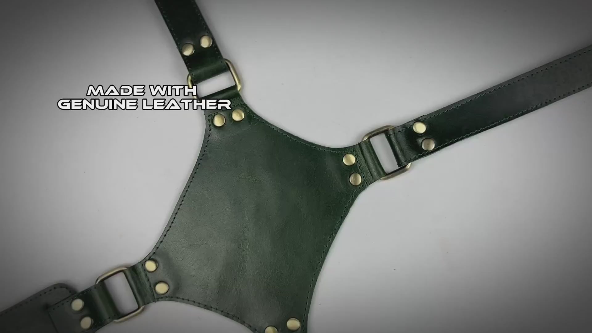 camera harness video