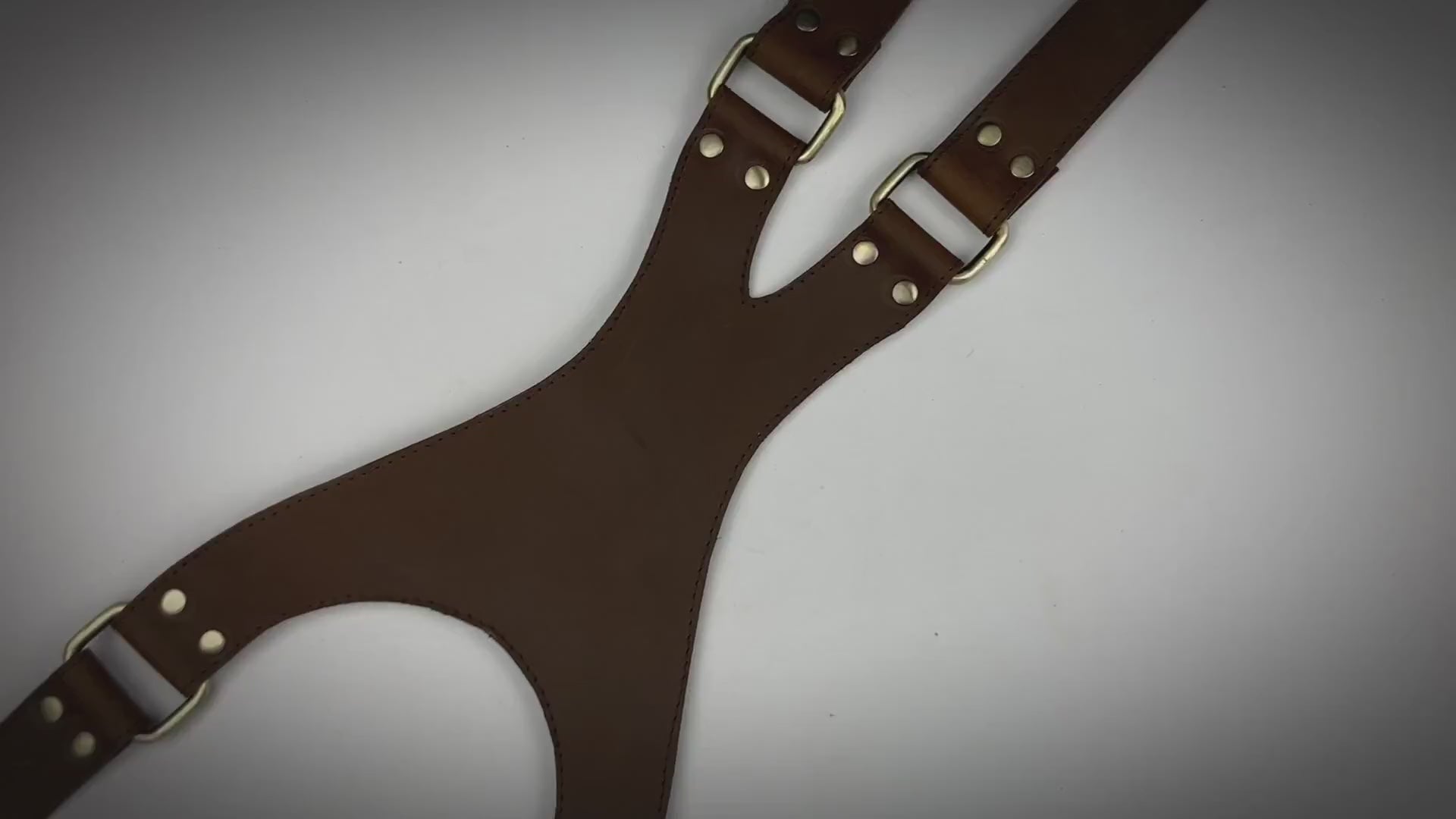 camera harness video