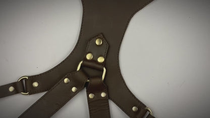 camera harness video