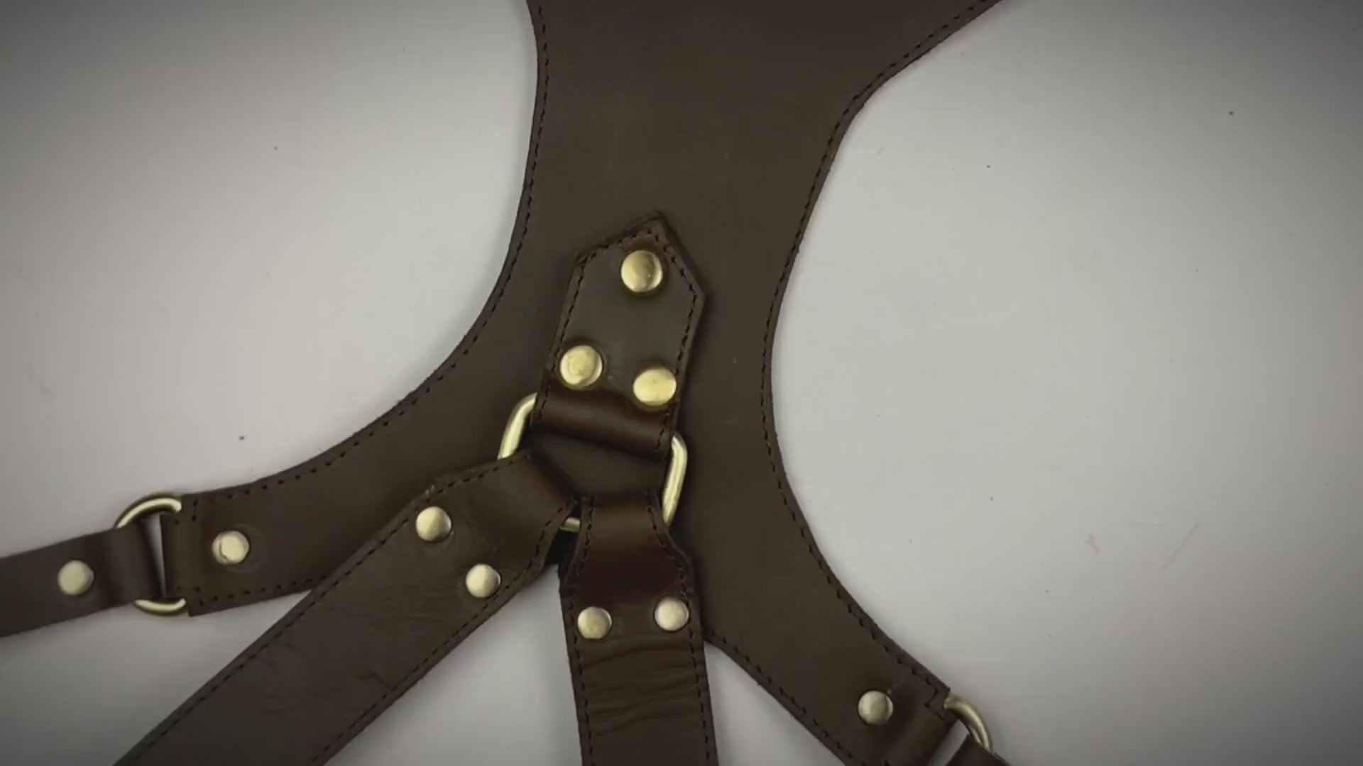 camera harness video