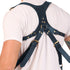 Navy leather harness with gold hardware on a white background